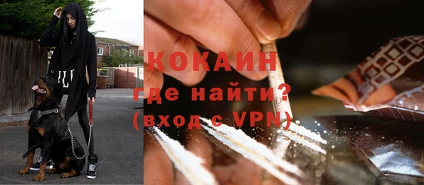 гидропоника Карталы