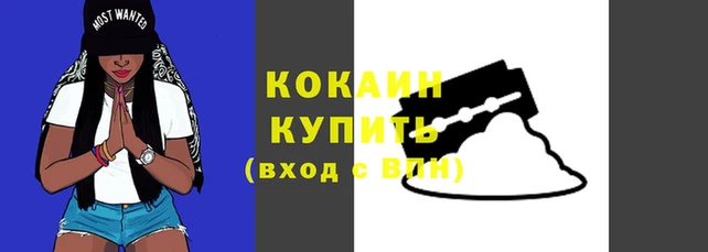 скорость Каменка