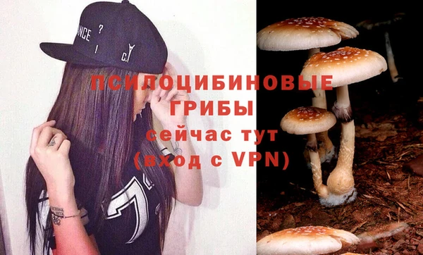 гидропоника Карталы