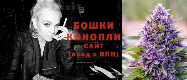 стаф Каменск-Шахтинский