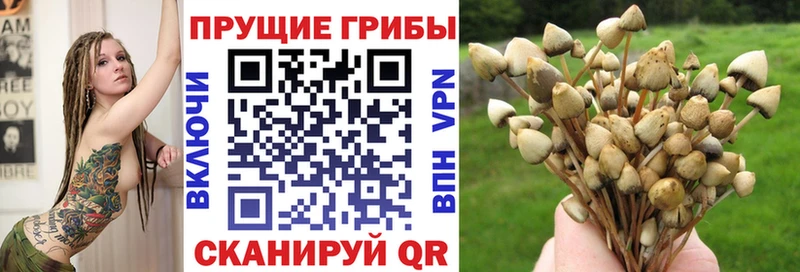 Псилоцибиновые грибы мухоморы  купить закладку  Поворино 